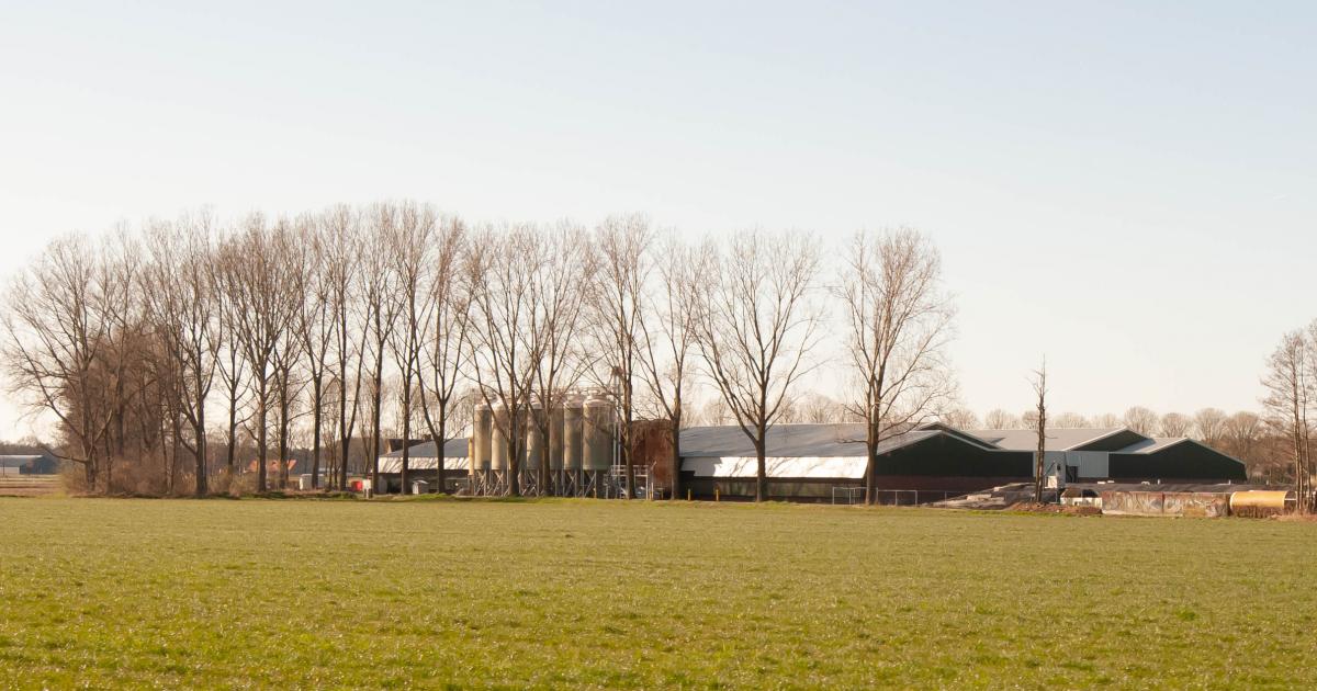 Partij voor de Dieren “Weer varkensbaron Straathof uit Brabant” Animal Rights Partij voor de Dieren “Weer varkensbaron Straathof uit Brabant” Animal Rights
