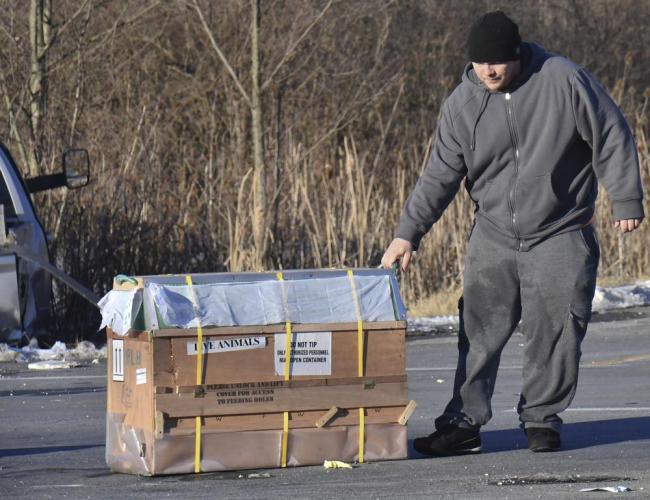 Gebrek aan veiligheid en risico op besmetting: mensen verslepen de dozen met blote handen. Fotokrediet: AP News