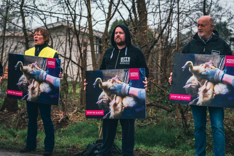 Met leuzes werd een einde aan de eendenhouderij en de sluiting van het eendenslachthuis geëist. Foto door Come Closer Project.