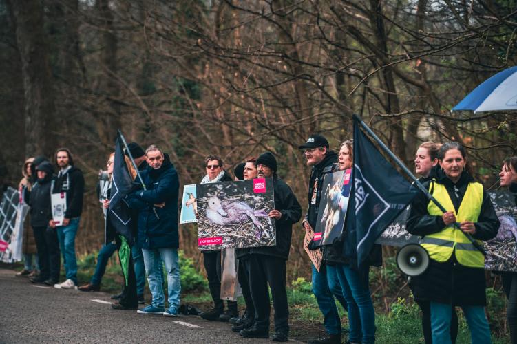 De demonstranten stelden zich op voor de poorten van het slachthuis. Foto door Come Closer Project.