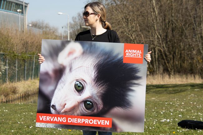Animal Rights in actie tegen dierproeven op apen BPRC