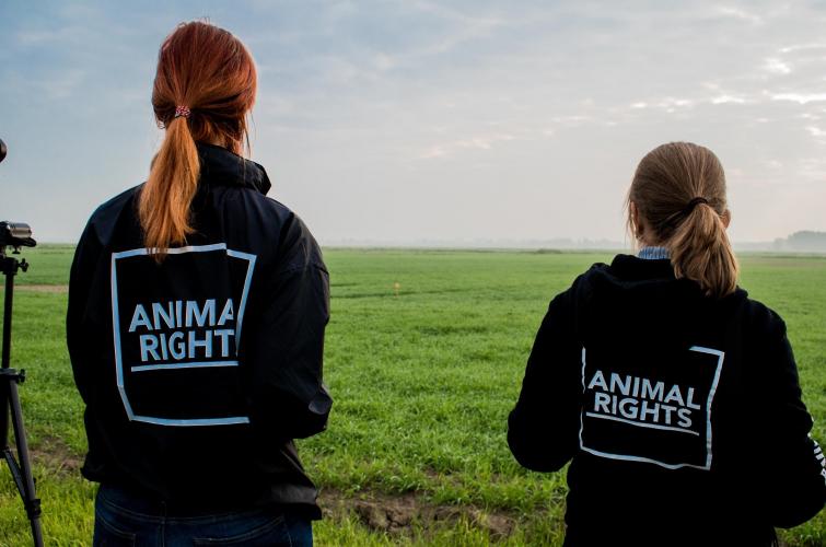 Animal Rights is vreedzaam en geweldloos.