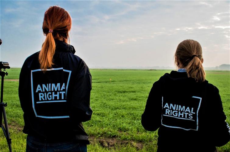 Animal Rights is vreedzaam en geweldloos.