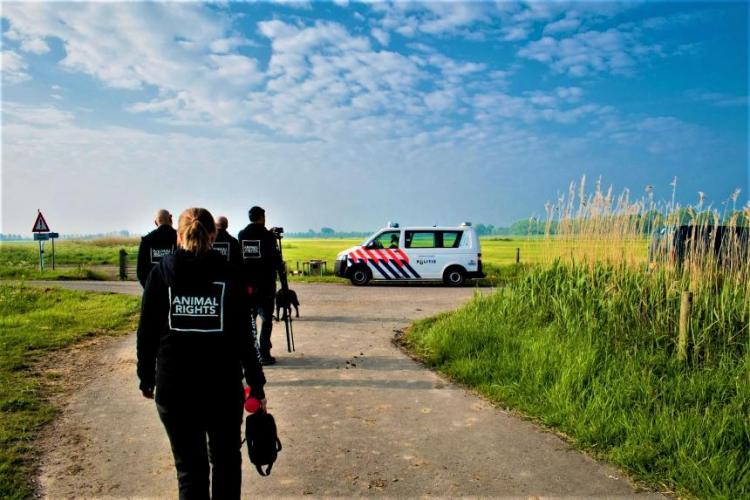 Vorig jaar zijn twee demonstraties onterecht verboden.