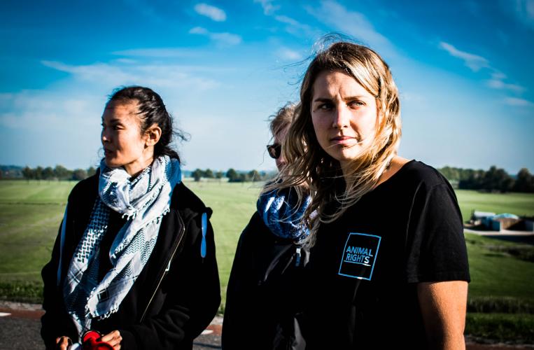 De hunt saboteurs van Animal Rights.