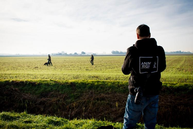 We leggen de jachtpartij vast vanaf de openbare weg. 