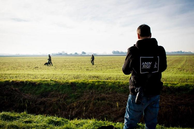 Een jachtpartij wordt vastgelegd vanaf de openbare weg (2018).