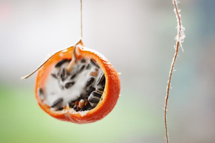 Hang de vetbol in de tuin.