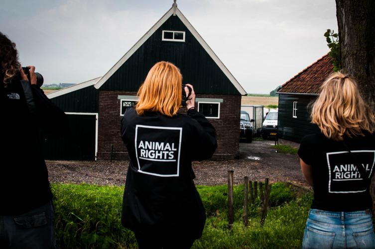 Activisten van Animal Rights leggen de vergassingen vast (2018).