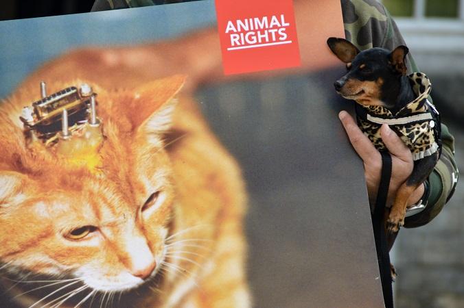 Animal Rights demonstratie in Leuven voor Wereldproefdierendag. Fotokrediet: Jilke Tielemans.