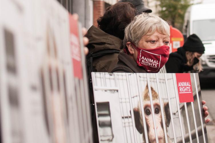 Sending a clear signal to Mauritius: animal rights must take precedence over economical interests.