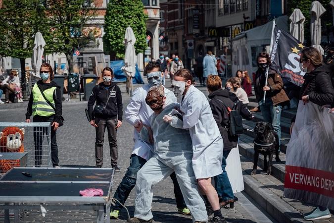 Proefaap wordt door wetenschappers naar de dissectietafel gesleurd. Fotokrediet: Evy Vermeir.