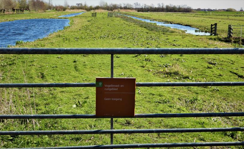 Jagers jagen naast broed- en rustgebieden voor vogels.