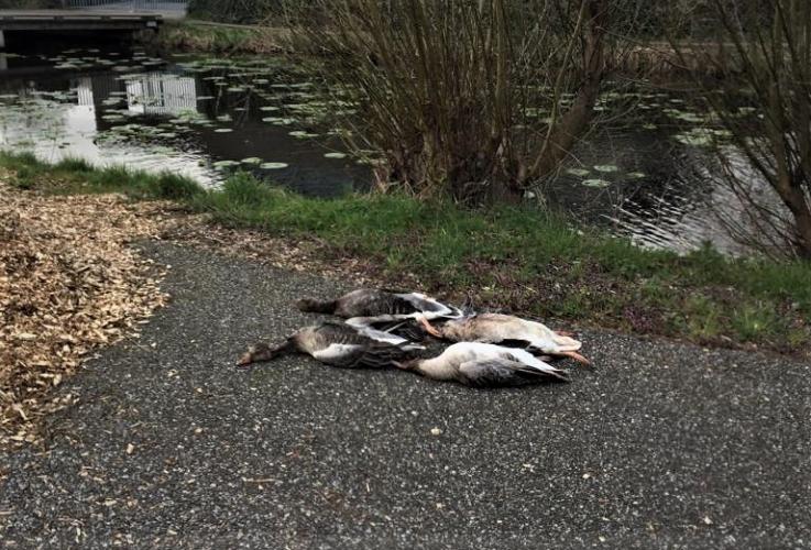 Bij buurtbewoners die zich uitspreken tegen de jacht.