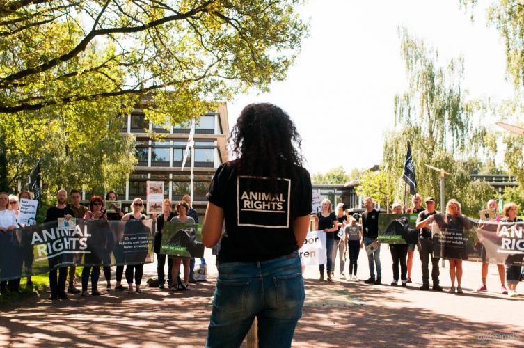 Samen sterk voor de aalscholvers