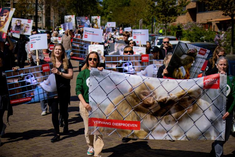 Grote mars op wereldproefdierendag