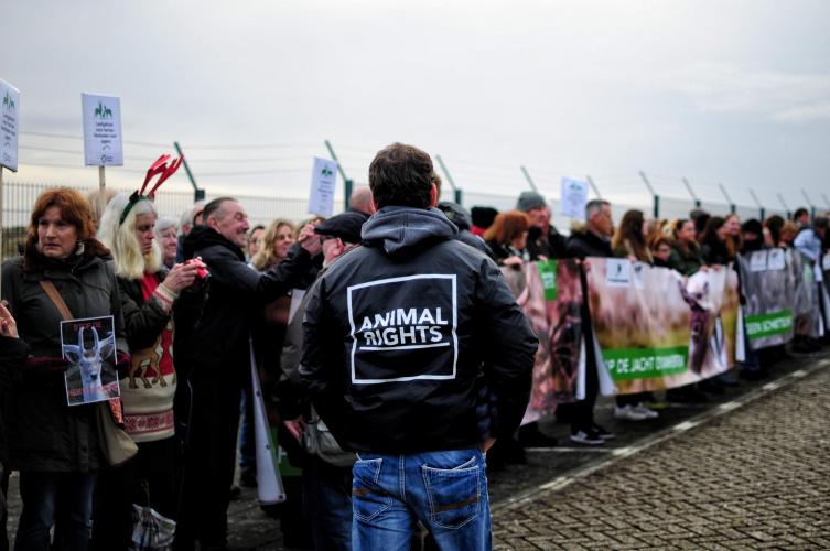 Een protest tegen het afschot van de damherten in 2017.