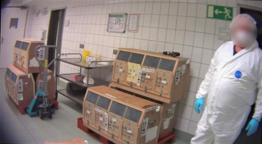 Apen in transportboxen in het lab.  Fotocredit: Soko Tierschutz/Cruelty Free International