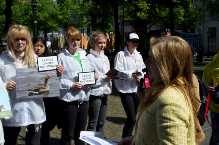 Laat de ganzen niet stikken