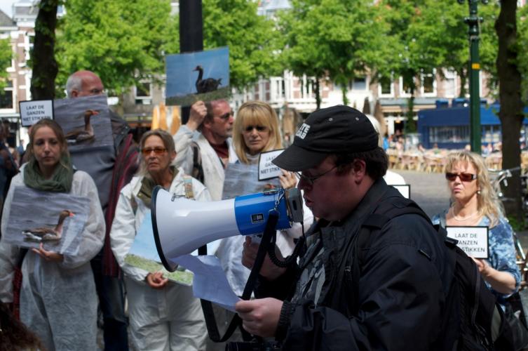 Laat de ganzen niet stikken