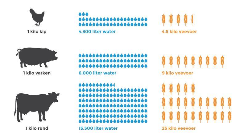 Veevoer en water per kilo vlees. Bron: Nudge