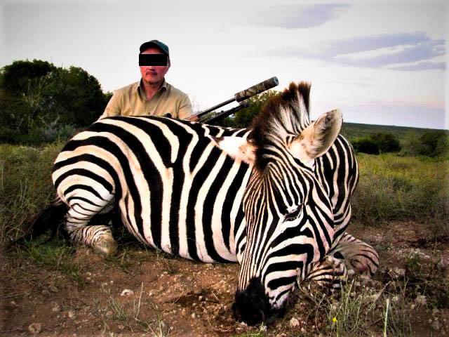 Belgische jager, via Umlilo Safaris (2014).