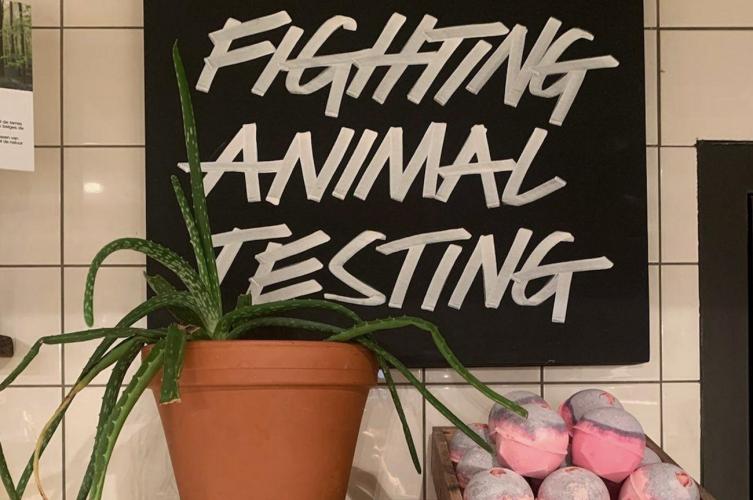 Depuis le début de sa création en 1995, Lush a toujours combattu les tests sur les animaux .