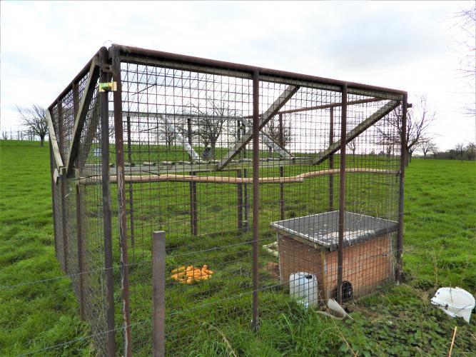 Vogels kunnen vanaf boven in de val vliegen, maar kunnen er daarna niet meer uit.