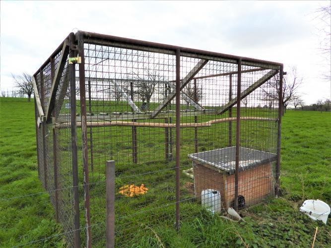 Vogels vliegen van boven naar binnen, maar kunnen er daarna niet meer uit.