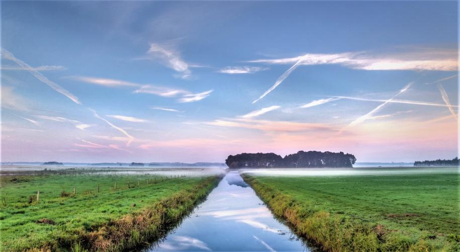 In de meeste gevallen zijn de leefomstandigheden in weidevogelgebieden ondermaats.