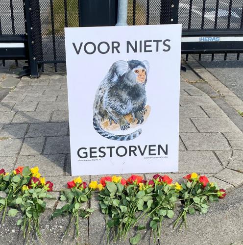 Voor niets gestorven