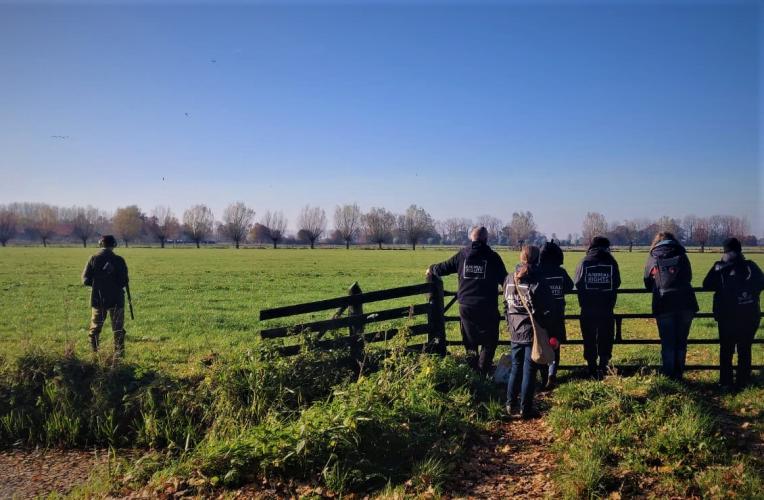 De jachtpartijen vonden plaats in de bossen en omliggende weilanden.