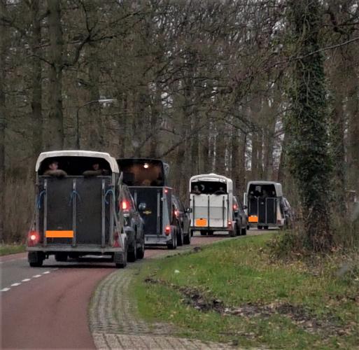 De jagers werden in trailers vervoerd. 