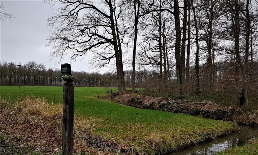 Deze jager staat verscholen in de bosjes om vluchtende dieren neer te schieten. 