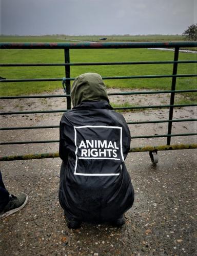 Animal Rights keert terug naar Noord-Holland.