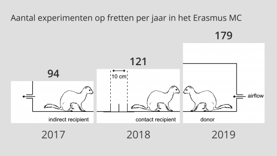 Aantal experimenten op fretten per jaar in het Erasmus MC